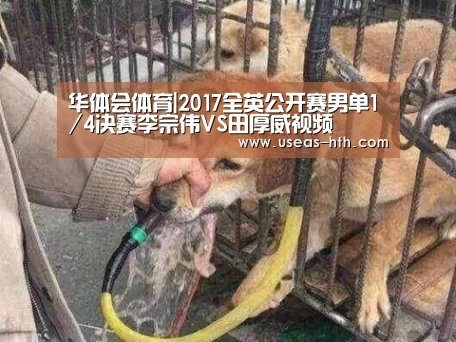 华体会体育|2017全英公开赛男单1/4决赛李宗伟VS田厚威视频(图2) 华体会官方