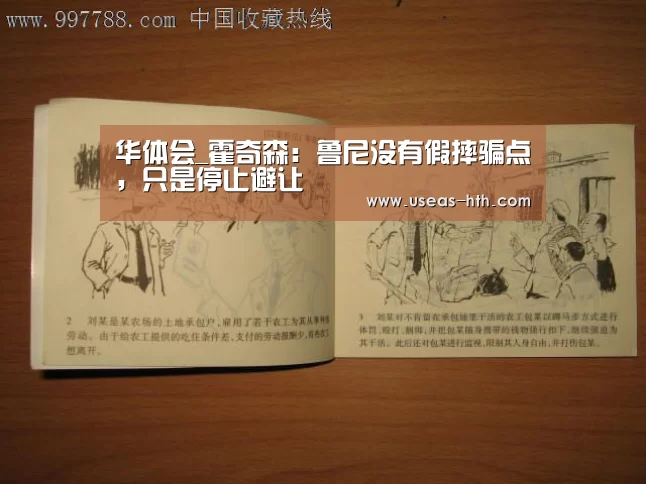 华体会_霍奇森:鲁尼没有假摔骗点,只是停止避让(图1) 华体会官方