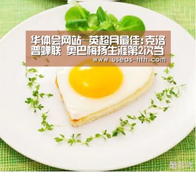 华体会体育