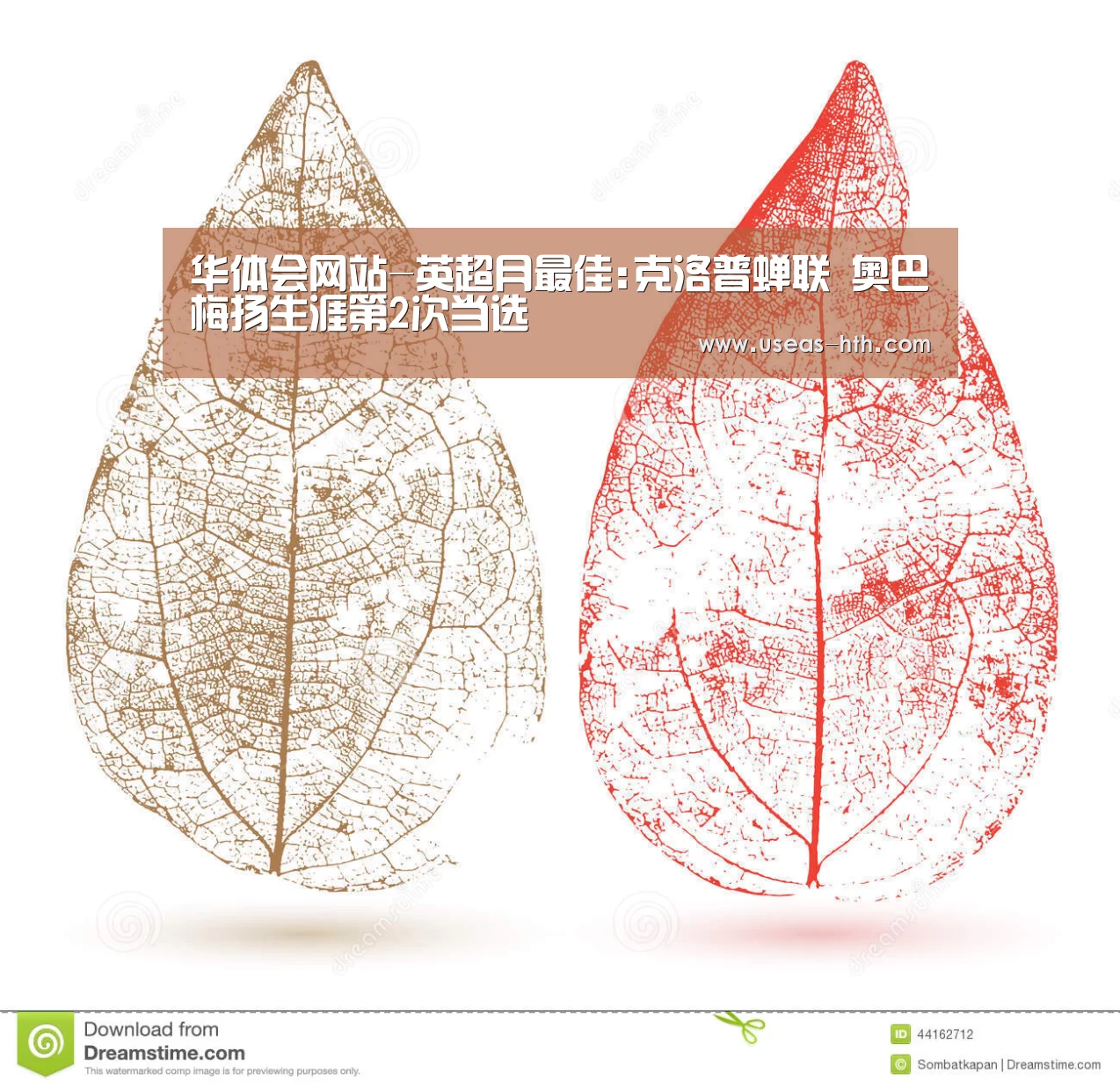 华体会网站