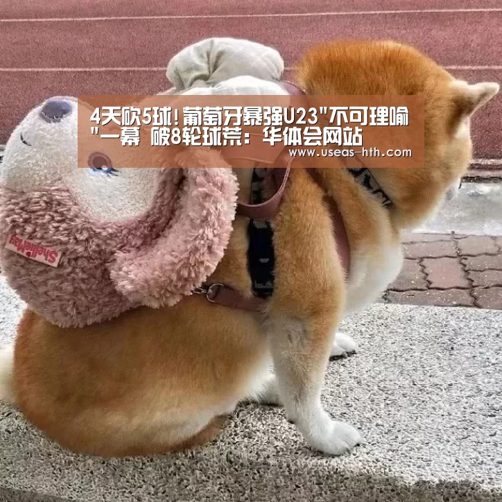 4天砍5球!葡萄牙暴强U23不可理喻一幕 破8轮球荒:华体会网站(图2) 华体会官网
