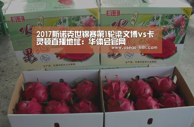 华体会体育