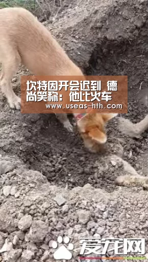 坎特因开会迟到 德尚笑称:他比火车更快_华体会官网(图2) 华体会体育