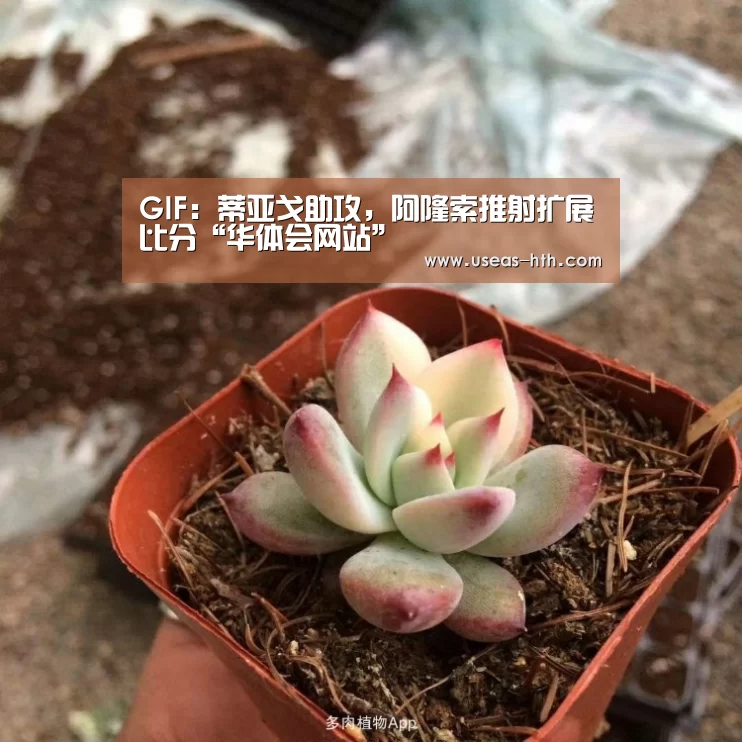 GIF：蒂亚戈助攻，阿隆索推射扩展比分“